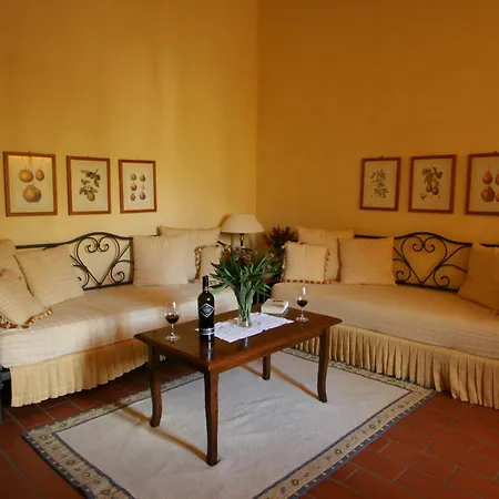 Di Monte Solare Panicale