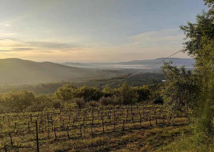 Di Monte Solare Panicale